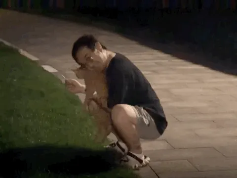播放笔迹
