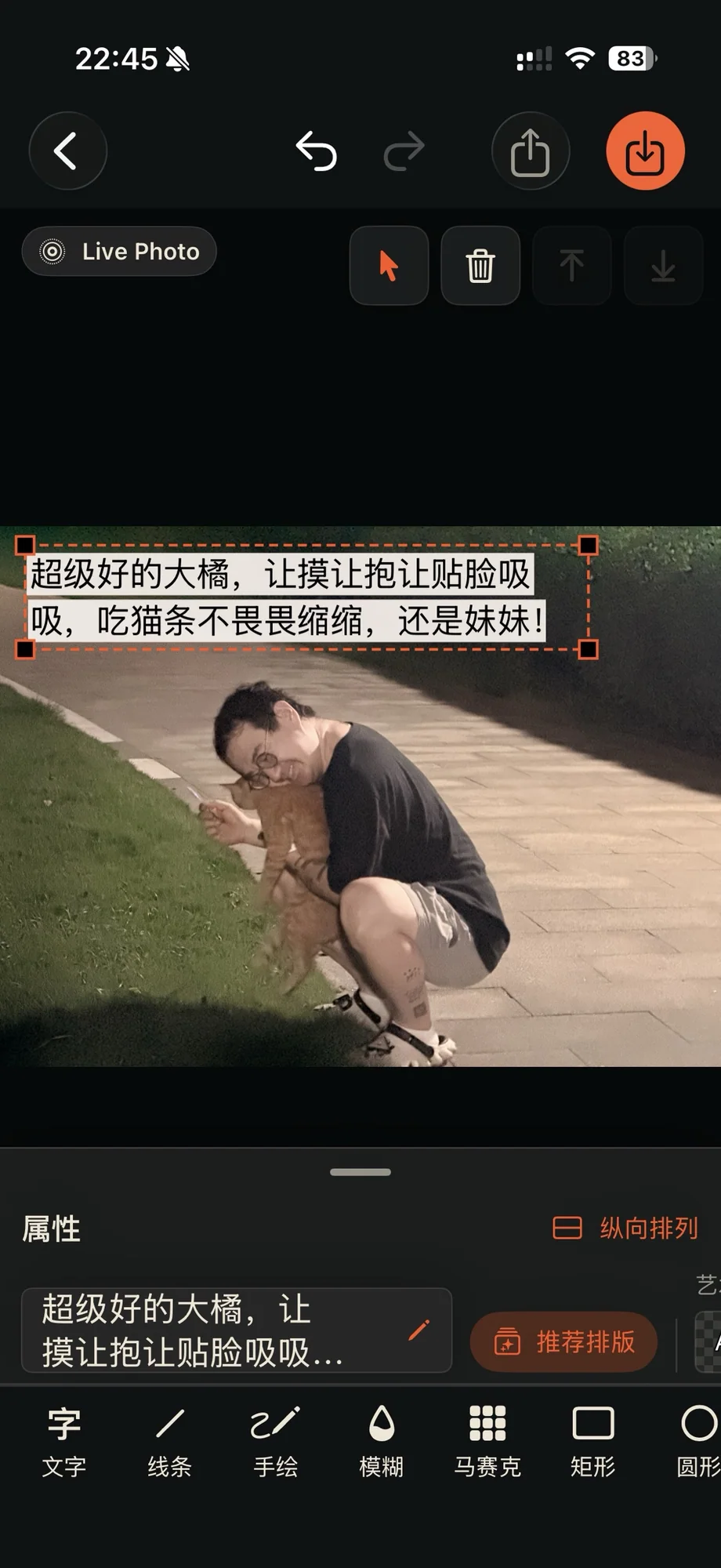 自动布局与配色