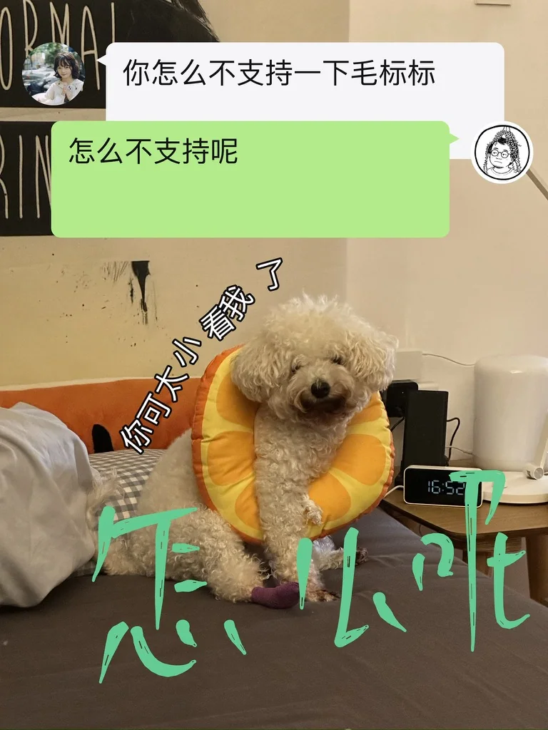 微信气泡对话