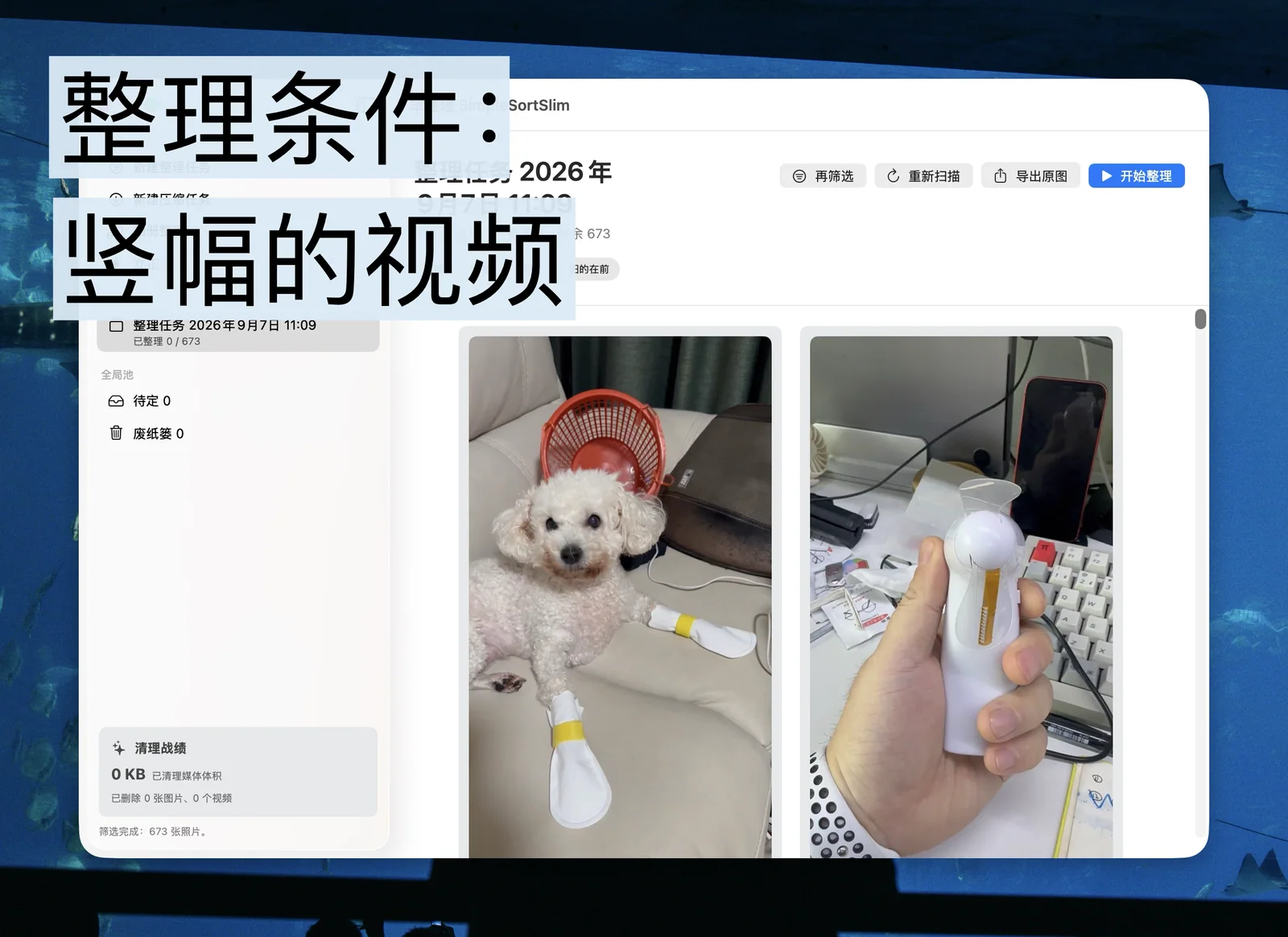整理条件：竖幅的视频